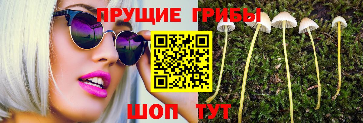 Галлюциногенные грибы ЛСД  Вход с VPN  Чехов 